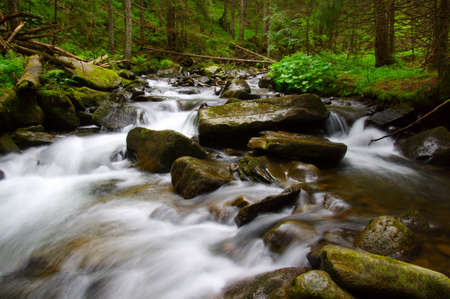 Mountain river flowing through the green forest. Stream in the wood.の写真素材