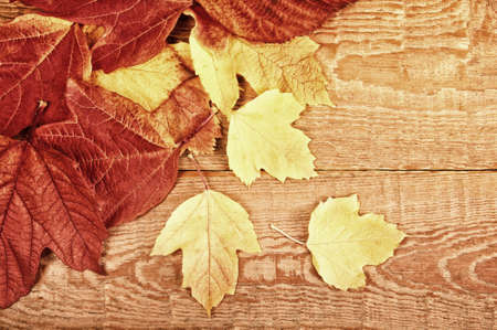 autumn leaves on wooden background