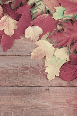 autumn leaves on wooden background