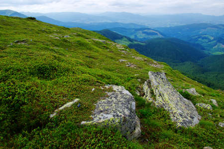 Mountain landscape in the summerの写真素材
