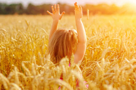 Girl on a wheat fieldの写真素材