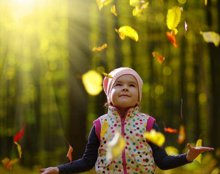 Little girl in the autumn forest on a sunny dayの写真素材