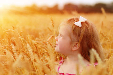Girl on a wheat field in the sunset.の写真素材