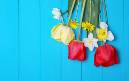 Tulips on a wooden background. Spring flowers. Top viewの写真素材