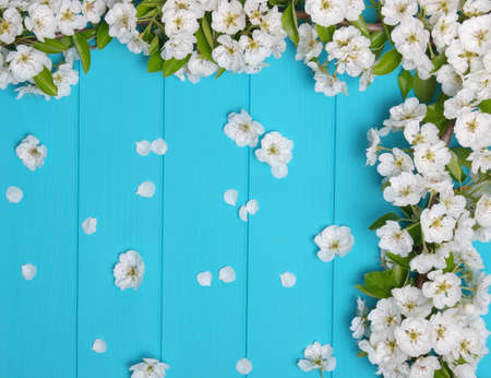 Spring flowers on wooden background