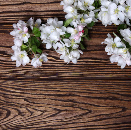 Spring flowers on wooden backgroundの写真素材