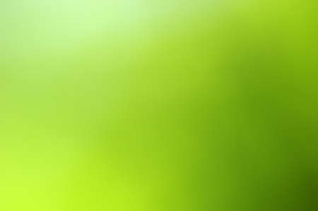 Green blurred background in sunlightの写真素材