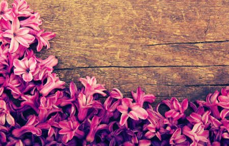 Spring blossoms on wood background with the effect of toningの写真素材