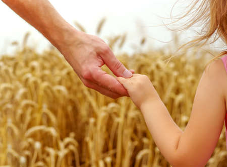 hands of child and father on wheat fieldの写真素材
