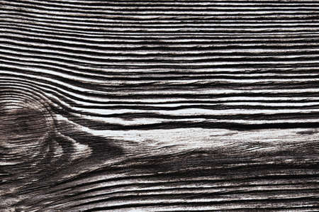 closeup background of wood texture