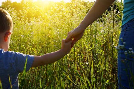 hands of the parent and litlle child in field on roadの写真素材