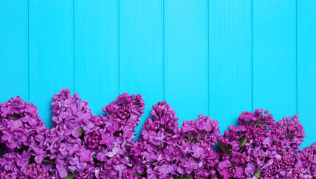 Spring flowers. Lilac flowers on blue wooden background. Top view, flat lay.の写真素材