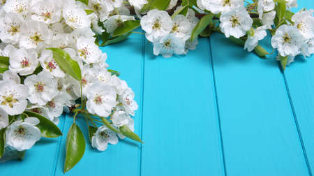 Spring flowers on wooden backgroundの写真素材