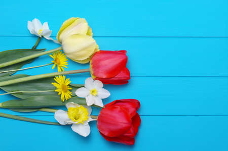 Tulips on a wooden background. Spring flowers. Top viewの写真素材