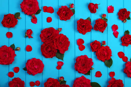Red roses flowers on blue painted wooden planks.の写真素材