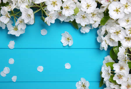 Spring flowers on wooden backgroundの写真素材
