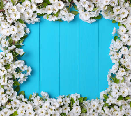 Spring flowers on wooden background.の写真素材