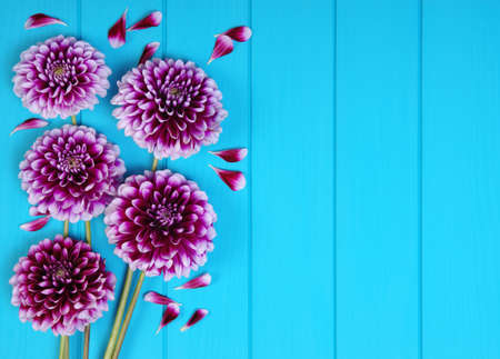 Flowers on blue painted wooden planks. Place for text.の写真素材