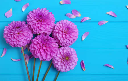  Flowers on blue painted wooden planks. Place for text.の写真素材