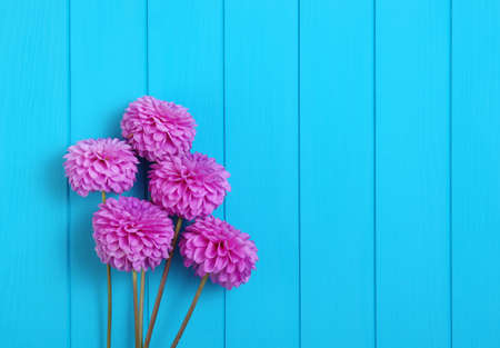 Flowers on blue painted wooden planks. Place for text.の写真素材
