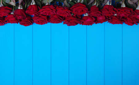Red roses flowers on blue painted wooden planks.