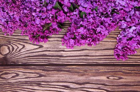 lilac flowers on a old wooden backgroundの写真素材