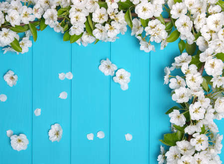 Spring flowers on wooden backgroundの写真素材