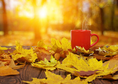 Autumn leaves and hot steaming cup of coffee. Wooden table on sun light background. Fall time concept.の写真素材