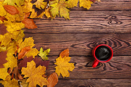 Autumn leaves, hot steaming cup of coffee on wooden  background.の写真素材