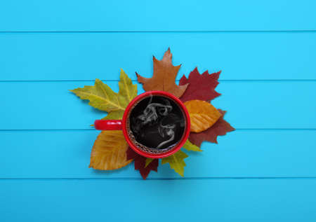 Autumn leaves, hot steaming cup of coffee  on wooden blue background.の写真素材