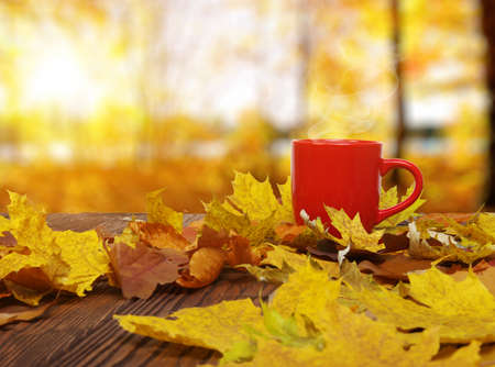 Autumn leaves and hot steaming cup of coffee. Wooden table on sun light background. Fall time concept.の写真素材