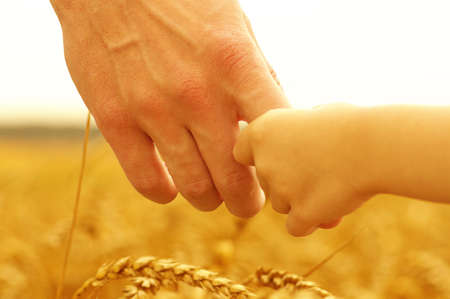 Hands of mother and daughter holding each other on wheat fieldの写真素材