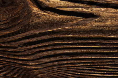 closeup background of wood texture