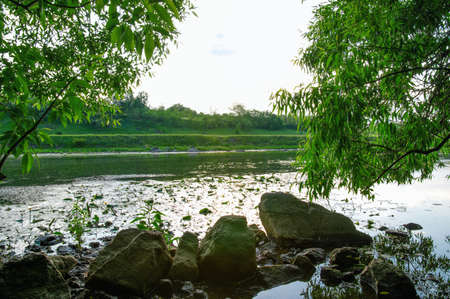 landscape with trees and a river