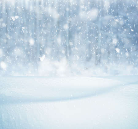 Winter background, falling snow over winter landscape with copy spaceの写真素材
