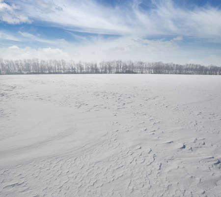 field of snow and cloudy sky