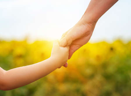 Hands of mother and daughter holding each other on fieldの写真素材