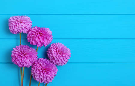 Flowers on blue painted wooden planks. Place for text.の写真素材