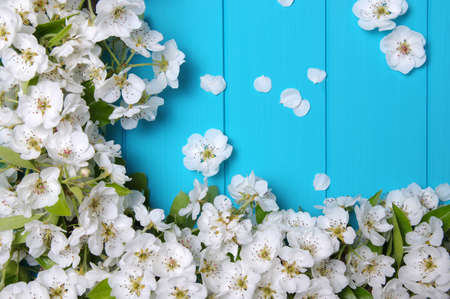 Spring flowers on wooden background.の写真素材