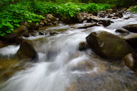 Mountain river flowing through the green forest. Stream in the wood.の写真素材