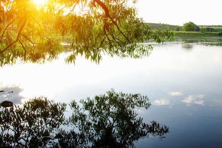 landscape with the river on sun