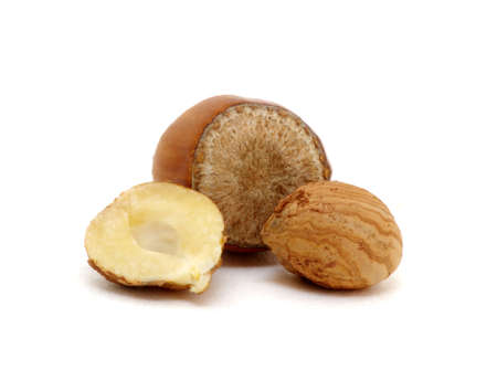 Hazelnut group many isolated on white background.