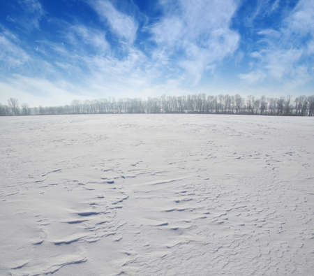 field of snow and cloudy sky