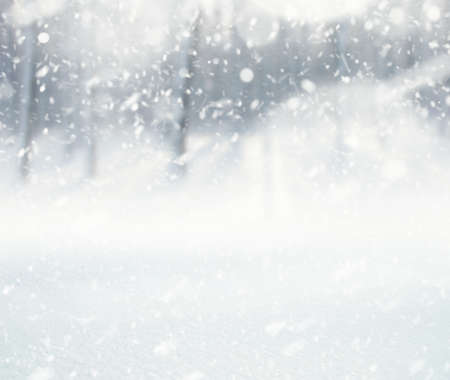 Winter background, falling snow over winter landscape with copy spaceの写真素材