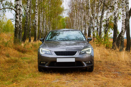 The car on the nature near autumn tree