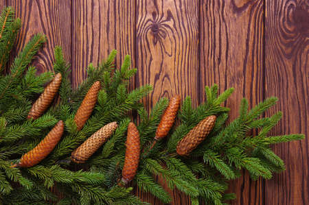 Christmas wooden background with fir tree.の写真素材