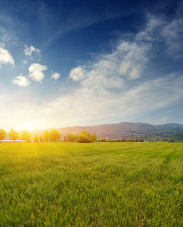 Mountain landscape with the sunの写真素材