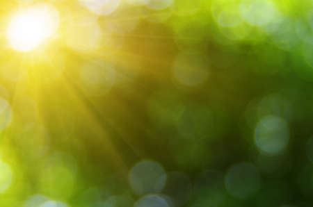 Green blurred background, the bokeh effect.