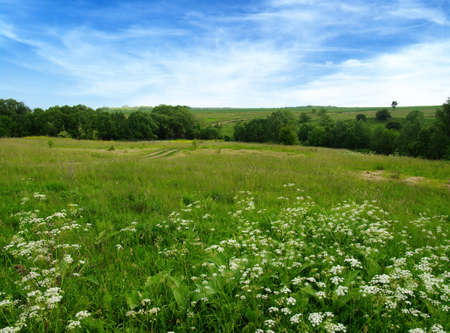 Green field,blue sky and sun.