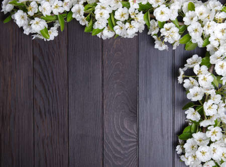 Spring  flower on wood background